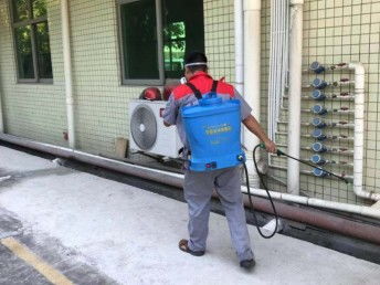 深圳臭蟲防治 工廠、宿舍、辦公室與家庭全面消殺指南