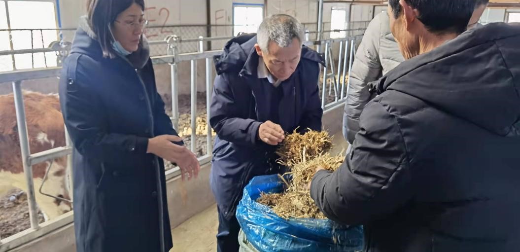吉林省畜牧局張友良處長一行調(diào)研長春示范區(qū) 對畜牧飼料技術(shù)開發(fā)提出指導(dǎo)意見
